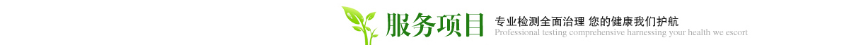 貴陽除甲醛公司 - 服務項目 貴陽除甲醛公司 - 服務項目